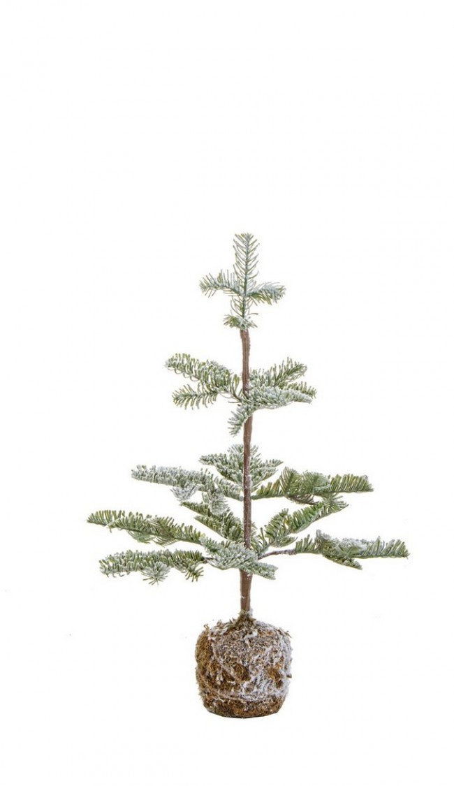 6x Pino Peralba sündig H53