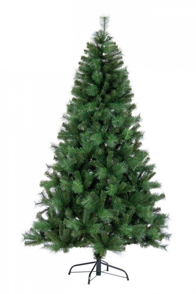 Cermis H270-1746Rami Tree