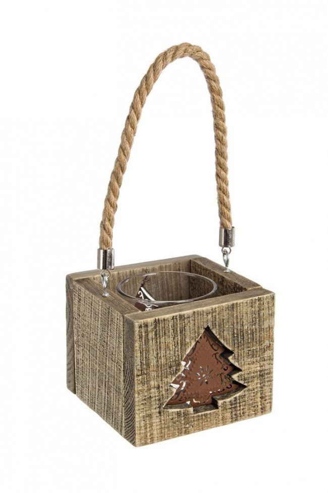 5x P. Candela Mountain Pino