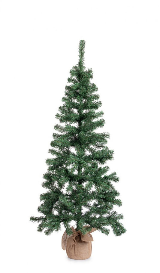 Baum Cerano H165-287Rami