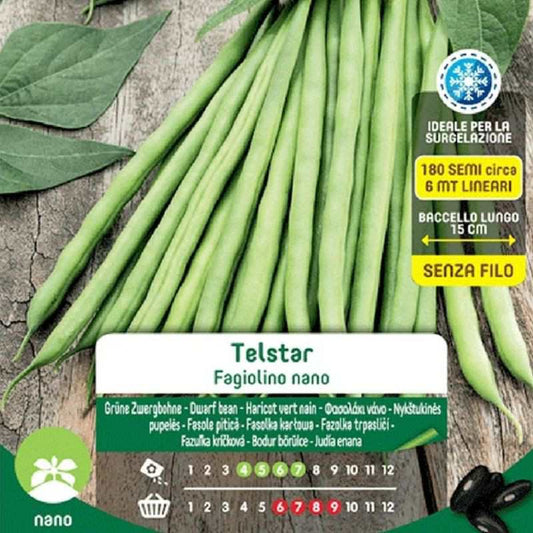 Telstar Midget Bean Seeds Tasche Maxi