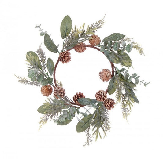 4x Corona Fernie Verde C.