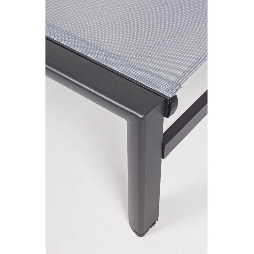 Skipper, Skipper Bizzacht, Rad-und Hülsenraupen