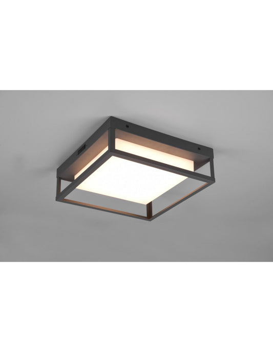 Deckenleuchte für den Außenbereich, LED-Dip-Schalter, Witham Anthrazit, IP54, Trio-Beleuchtung