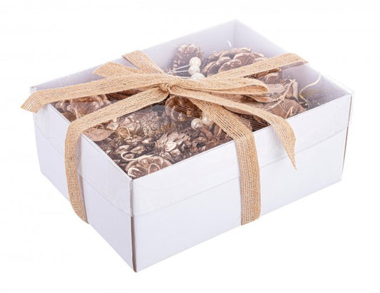 6x Conf Dekorationen Diana Champagner Arsch