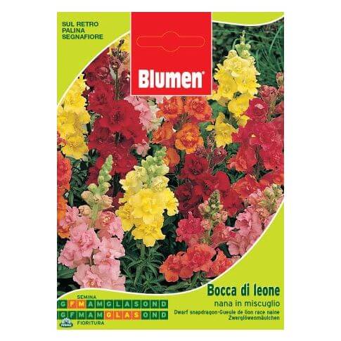 Tasche mit Zwerg Löwen Mund Samen in Mischung