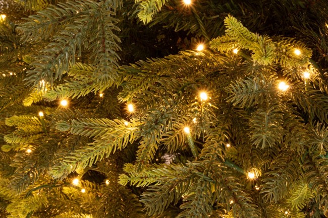 Berkshire Tree H180-3744RAMI 1300LED