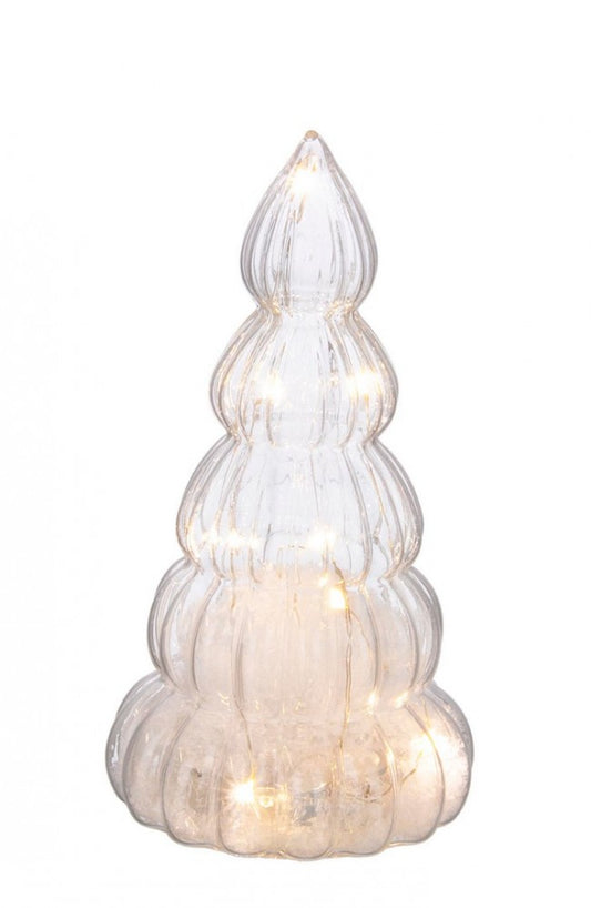 6x Pino VT Sliver Transparent S C.