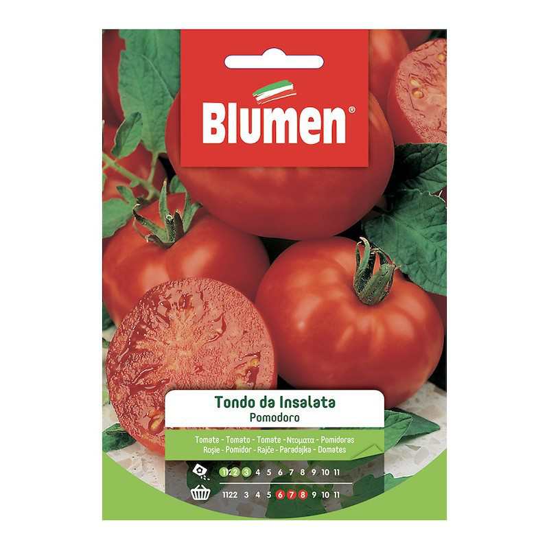 Runder Tomatensamen Salat in der Tasche