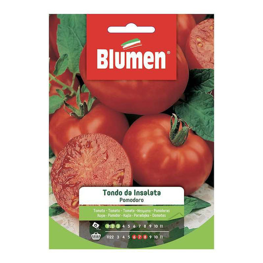 Runder Tomatensamen Salat in der Tasche