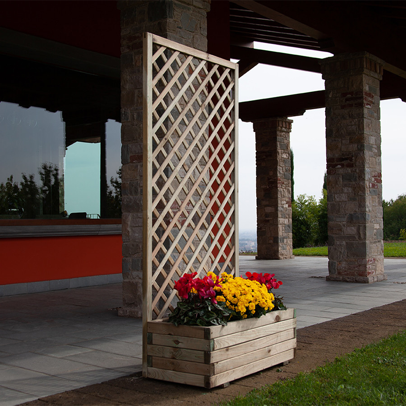 Orchideenkomposition mit Gitter und Pflanzgefäß