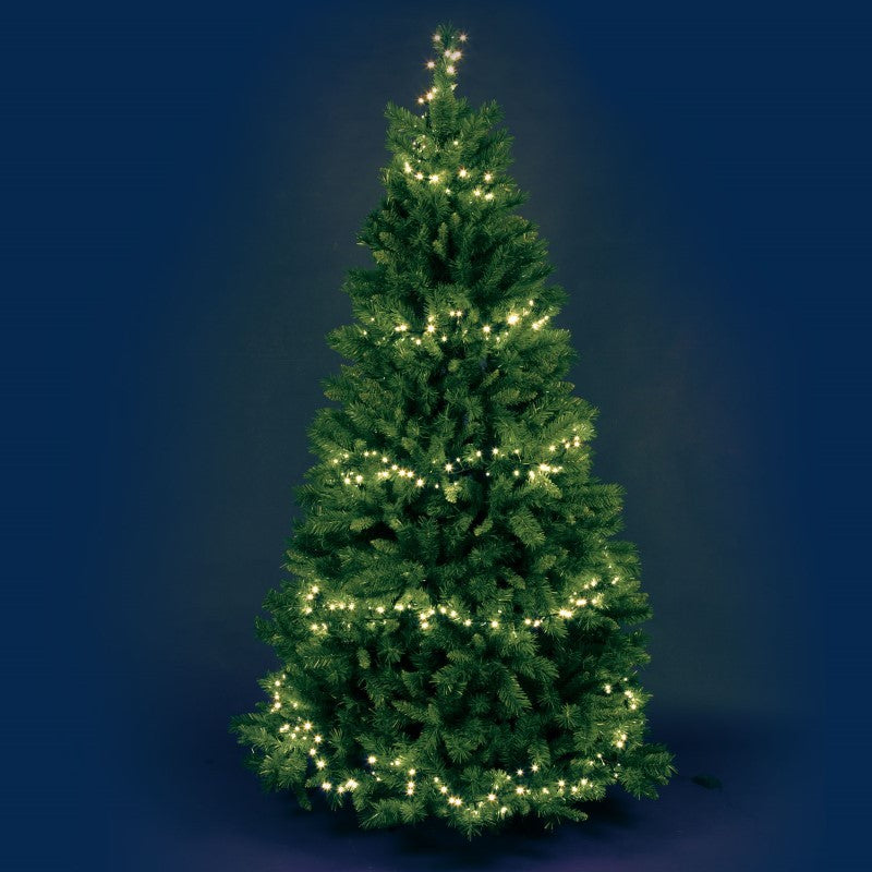 MiniCluster 1000 warmweiße LEDs 20,5m