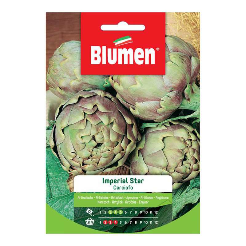Samen von Carciofo Imperial Star in Busta