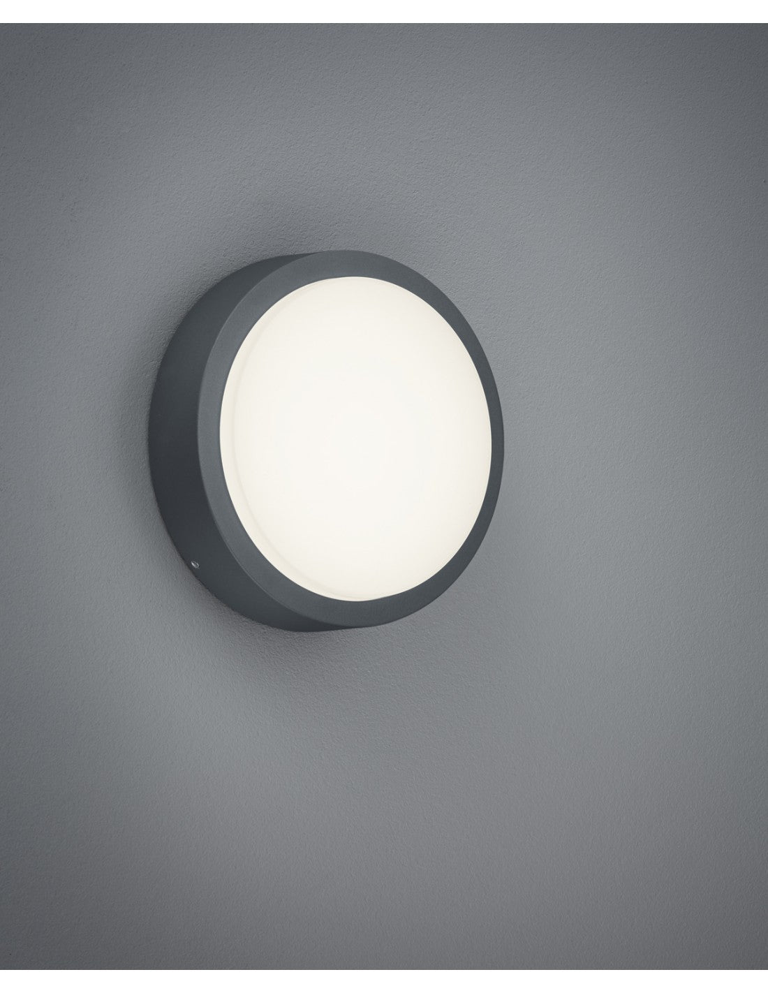 Esterno Breg Anthrazit, IP54 Ø20 cm Trio Lighting