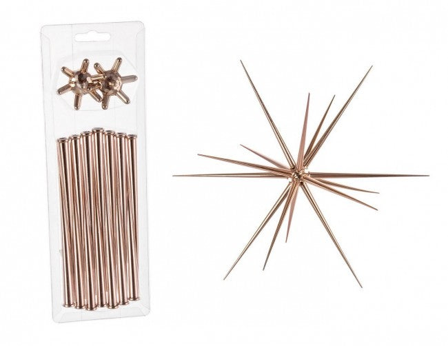 6x Stella Aster Kupfer s