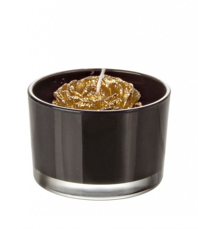 8x Candela minimalchic c