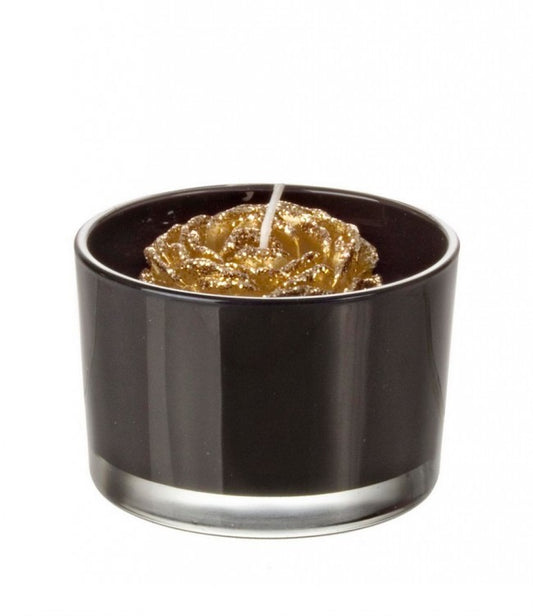 8x Candela minimalchic c