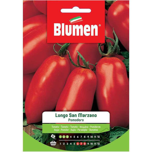 Lange San-Marzano-Tomatensamen im Beutel