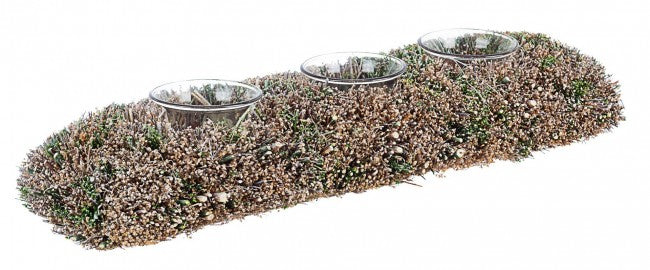 4x P. Candela 3p Wild Rett