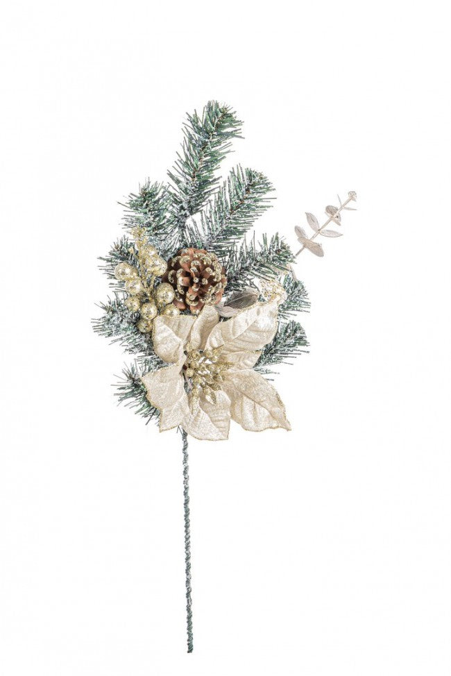 12x Pick Dorette Poorinth Champagner H50CM