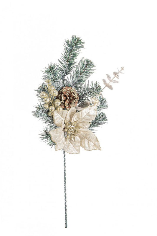 12x Pick Dorette Poorinth Champagner H50CM