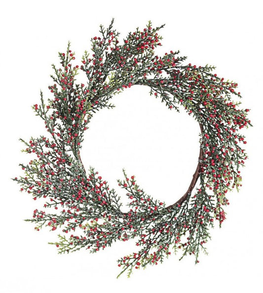 8x Crown Judie Red Beeren C.