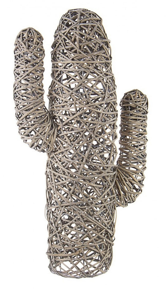 4x Cactus Mexico Grauer Anikat H88