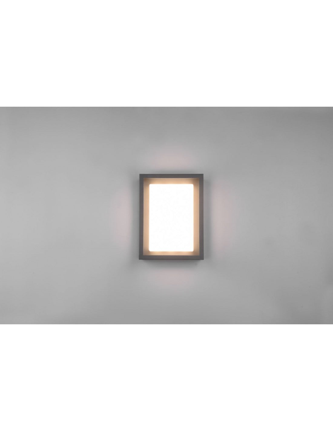 Außenwandleuchte mit LED-DIP-Schalter Witham Anthrazit IP54 Trio Lighting