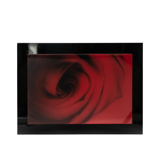 Dekorplatte mit weißem Holzfinish 80x110x4 cm