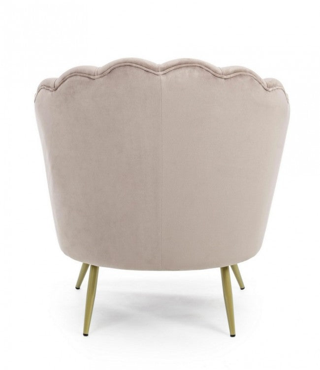 hinterer graues graues, graues, graues, graues Modell