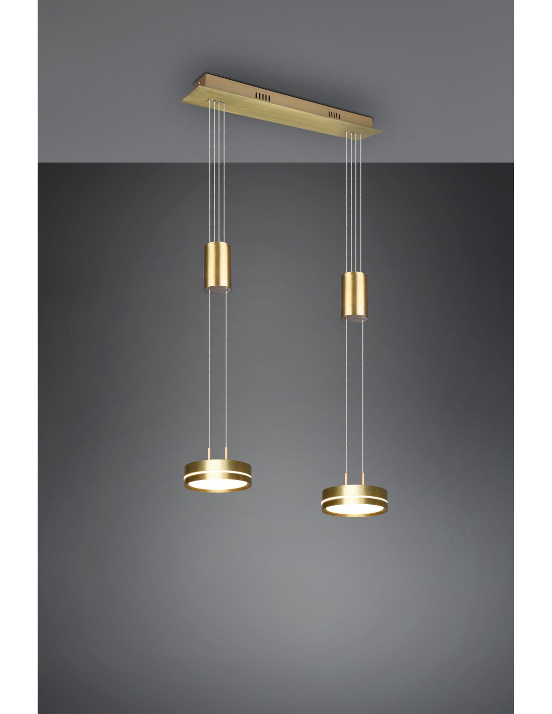 Hängediffusoren Disco Led Dimmer Franklin Brass Trio Lighting