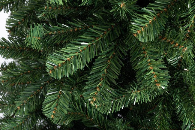 Miletto H210-1155Rami Tree