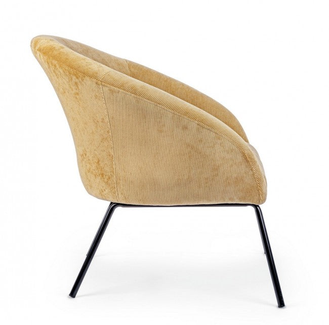 Gelber Gelborange, gekrönt, gezeichnet