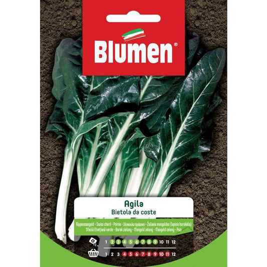 Samen von Coste Agila