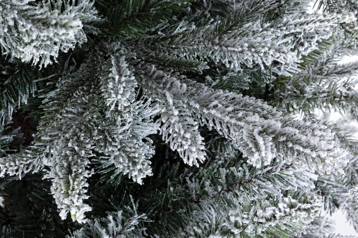 Verschneiter San Martino-Baum H210-1072 Zweige