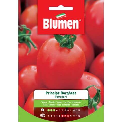 Tomatensamen Principe Borghese Blumen