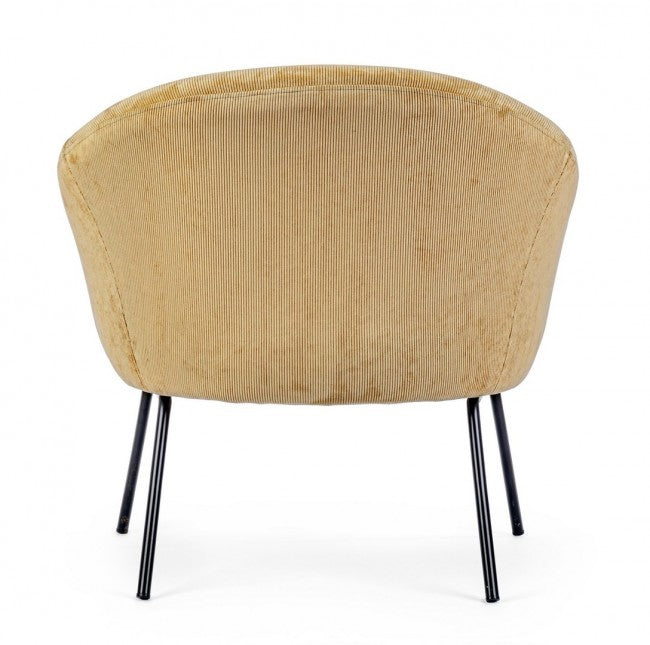 Gelber Gelborange, gekrönt, gezeichnet