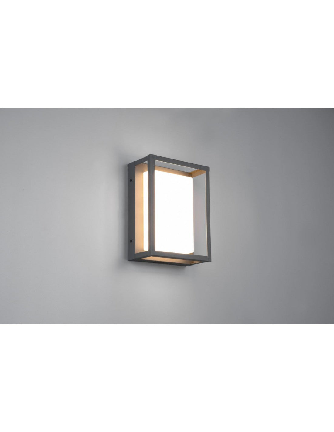 Außenwandleuchte mit LED-DIP-Schalter Witham Anthrazit IP54 Trio Lighting