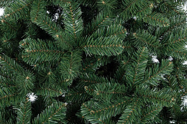 Nürnbergbaum F.210-1037rami
